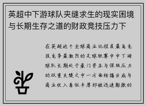 英超中下游球队夹缝求生的现实困境与长期生存之道的财政竞技压力下